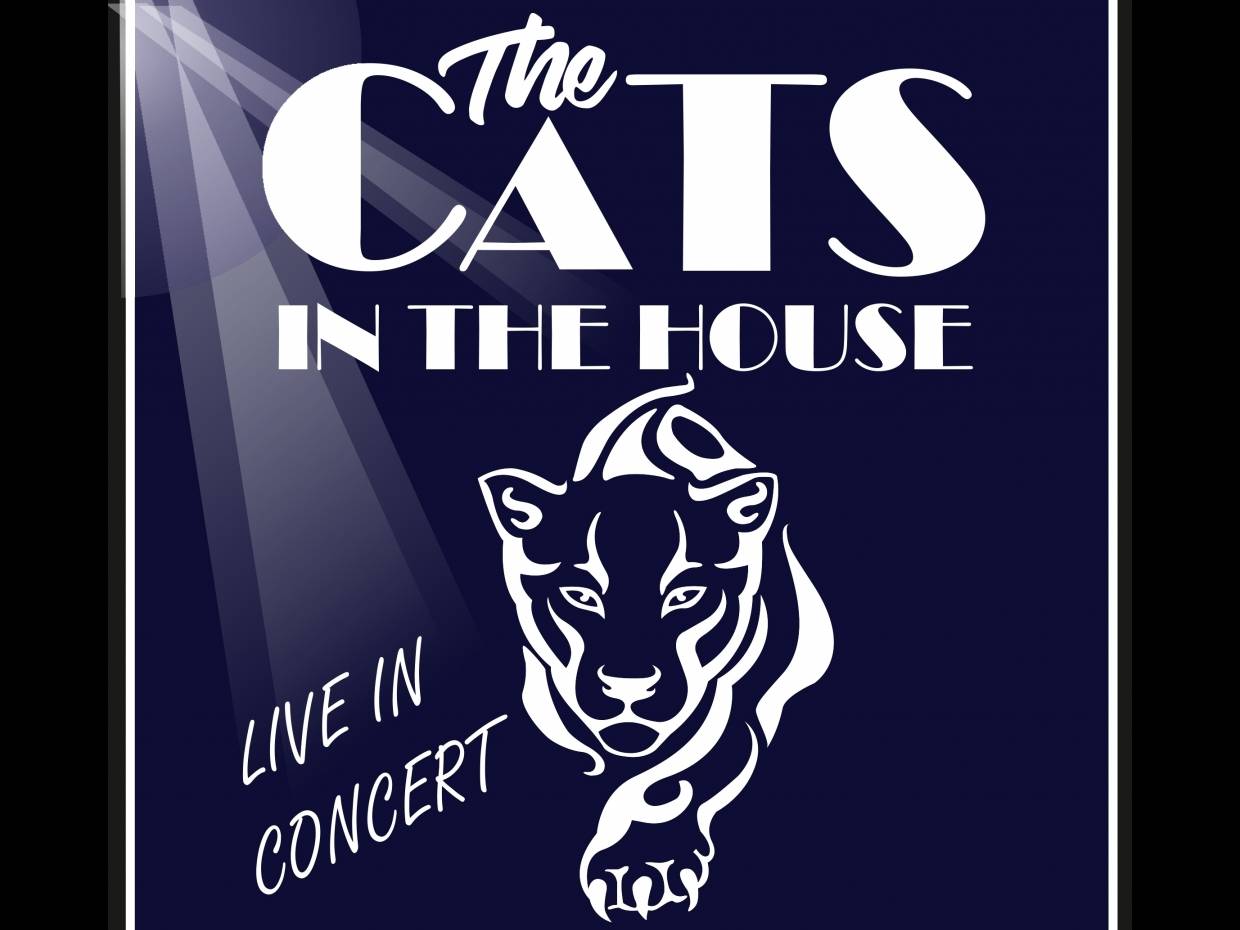 The Cats in the House  
