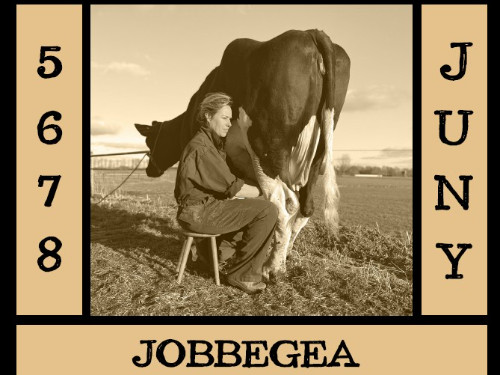 Hindriks Gryt - iepenloft 4 juny TRY-OUT