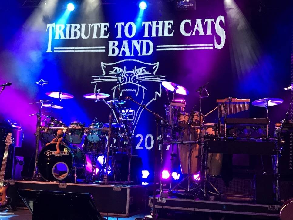 Tribute to the Cats band De Rips 2021 | MGTickets