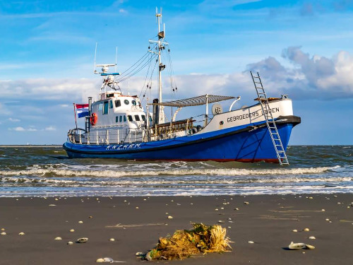 ENGELSMANPLAATTOCHT | MGTickets