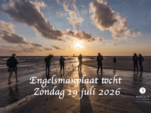 Engelsmanplaat tocht zondag 19 juli 2026 | MGTickets
