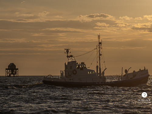 MIDZOMERNACHTTOCHT OP HET WAD