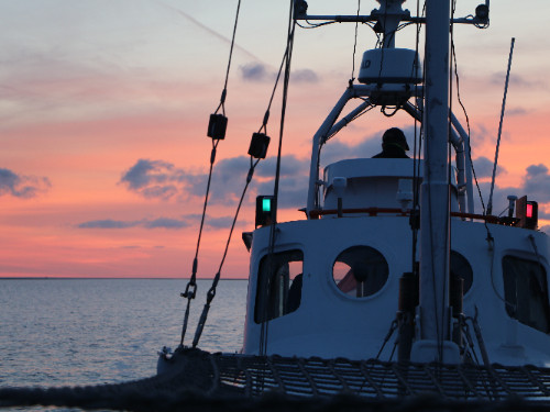 NACHT VAN DE NACHT | MGTickets