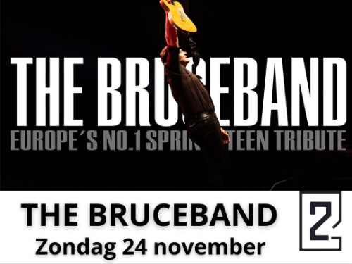 Zondagmiddag LIVE m.m.v. THE BRUCEBAND & DJ Sieds