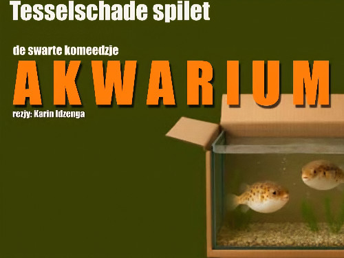 Akwarium | Snein 1- 2- 2026