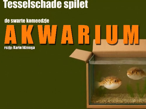 Akwarium | Snein 25- 1- 2026