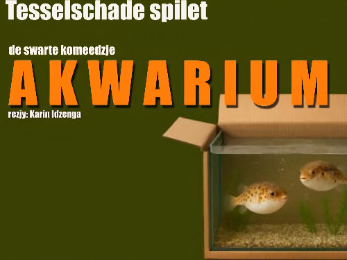 Akwarium | Sneon 31- 1- 2026