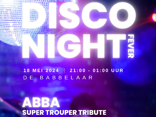 Disco Night Fever 2024
