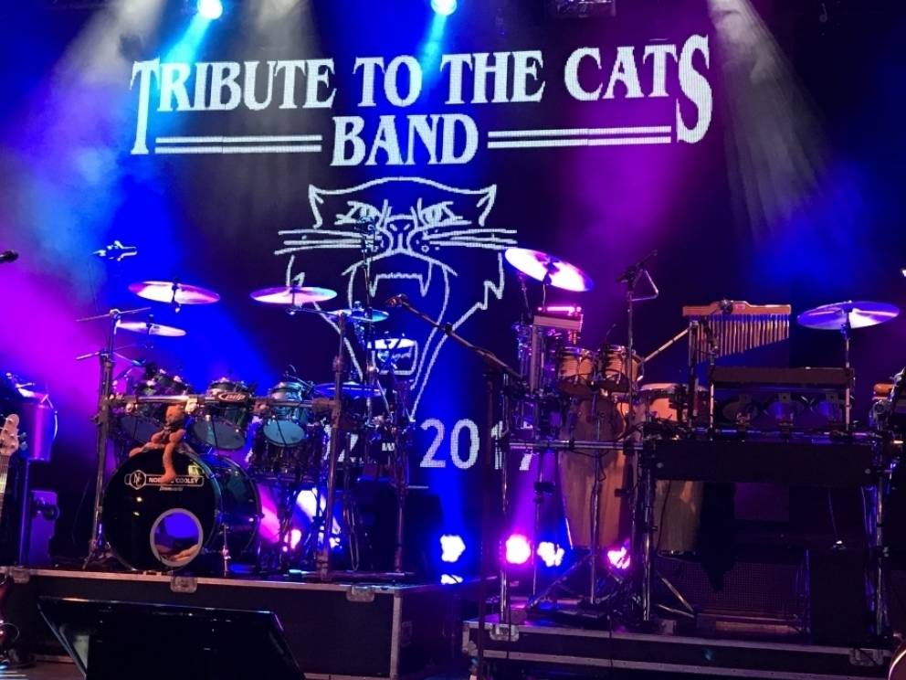 Tribute to the Cats band Mill 2022 | MGTickets